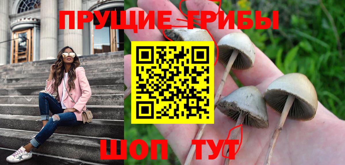 Псилоцибиновые грибы мухоморы Когалым