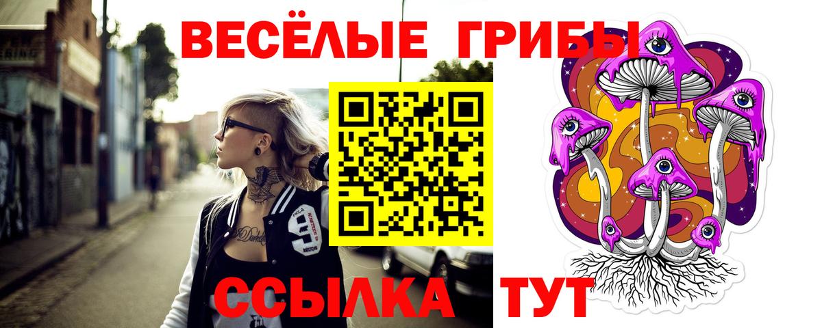 Когалым  сколько стоит  Вход с VPN  Галлюциногенные грибы Magic Shrooms 